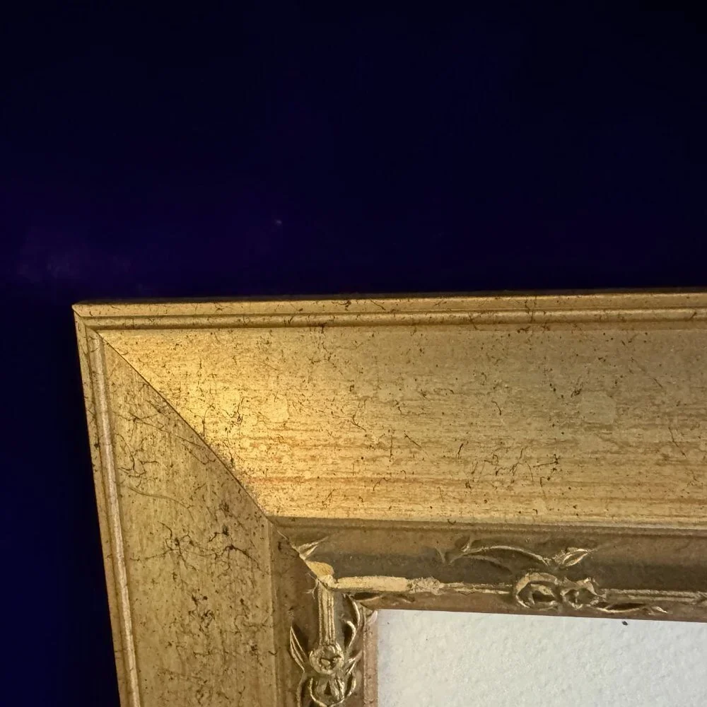 Framed Picture Botanical Art Flowers